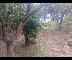 Appartamento con terreno - 11