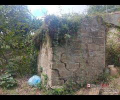 Appartamento con terreno - 12