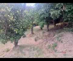 Appartamento con terreno - 14