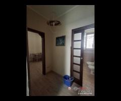 Bivani piano terra zona centro - 14