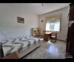 Camere in appartamento zona centro - 6