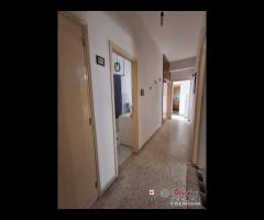 Camere in appartamento zona centro - 19