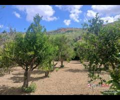 Terreno a Condrò - 6