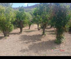 Terreno a Condrò - 7