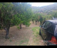 Terreno a Condrò - 8