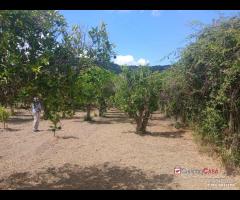 Terreno a Condrò - 10