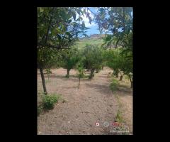 Terreno a Condrò - 12