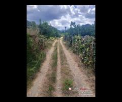 Terreno a Condrò - 13