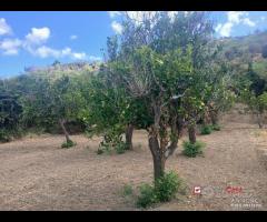 Terreno a Condrò - 14