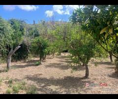 Terreno a Condrò - 16