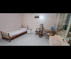 Pressi policlinico,1 grande camera e servizi a - 12