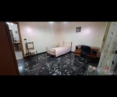 Pressi policlinico,1 grande camera e servizi a - 18