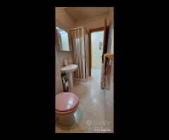 Pressi policlinico,1 grande camera e servizi a - 19