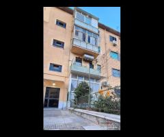 Pressi policlinico,1 grande camera e servizi a - 20