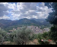 Gualtieri, terreno con casolare rurale - 6