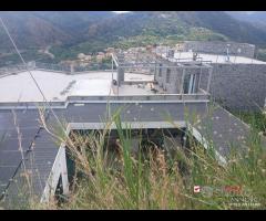 Gualtieri, terreno con casolare rurale - 11