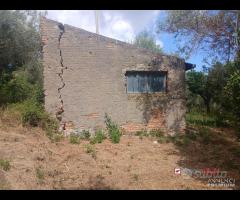 Gualtieri, terreno con casolare rurale - 16