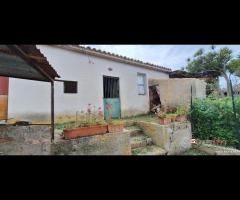 Piano Torre, pressi ss113,semi indipendente con - 23