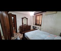 Pressi Policlinico,tre vani e servizi per studenti - 8