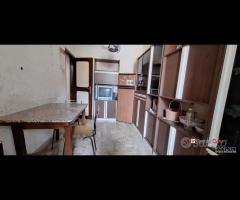 Pressi Policlinico,tre vani e servizi per studenti - 22