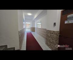 Complesso Albachiara, luminoso trivani con posto - 22