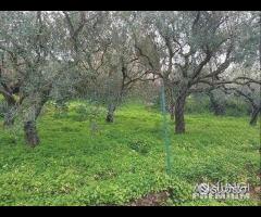 Rodia, Casolare con terreno