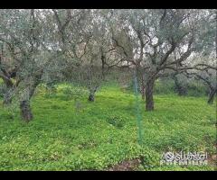 Rodia, Casolare con terreno - 6