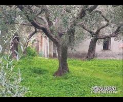 Rodia, Casolare con terreno - 8