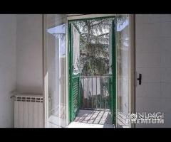 Zafferia, bivani e servizi - 9