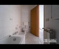 Zafferia, bivani e servizi - 18