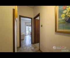 Tommaso Cannizzaro, Via Sacro Cuore, esavani e - 9