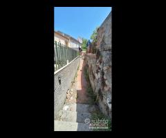 Ortoliuzzo,panoramica semindipendente,da