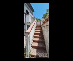 Ortoliuzzo,panoramica semindipendente,da - 12