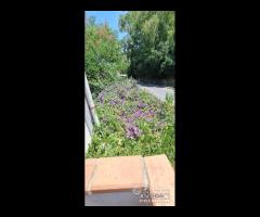 Ortoliuzzo,panoramica semindipendente,da - 16