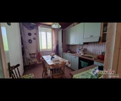 Ortoliuzzo,panoramica semindipendente,da - 19