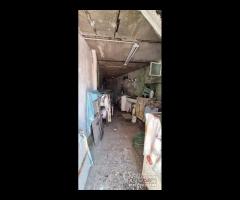 Ortoliuzzo,panoramica semindipendente,da - 27