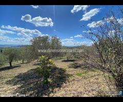 Rif.VL91|Villa Caltanissetta - 27