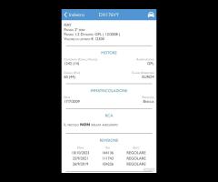 Fiat Panda 1.2 Benzina GPL UNICO - 20