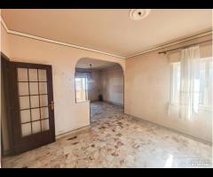 Panoramico 8 vani Corso dei Mille/Forum rif.113/25 - 15