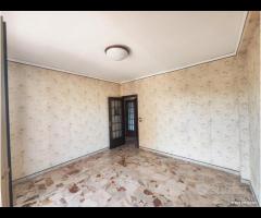 Panoramico 8 vani Corso dei Mille/Forum rif.113/25 - 21