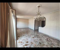 Panoramico 8 vani Corso dei Mille/Forum rif.113/25 - 27