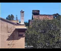 3 vani con terrazzo zona Arenella rif. 112/25 - 18