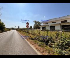 Locale commerciale 270 mq + cortile di 330 mq