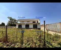 Locale commerciale 270 mq + cortile di 330 mq - 6