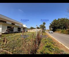 Locale commerciale 270 mq + cortile di 330 mq - 7