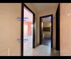 Piano rialzato con terrazzo e ing indipendente - 14