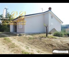 Villa incantevole extralusso Terranuova Bracciolin - 16