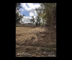 Terreno agricolo di 2700 mq a Varcaturo