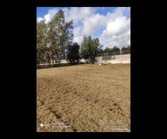 Terreno agricolo di 2700 mq a Varcaturo
