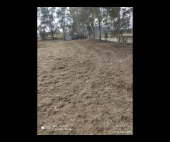 Terreno agricolo di 2700 mq a Varcaturo - 6